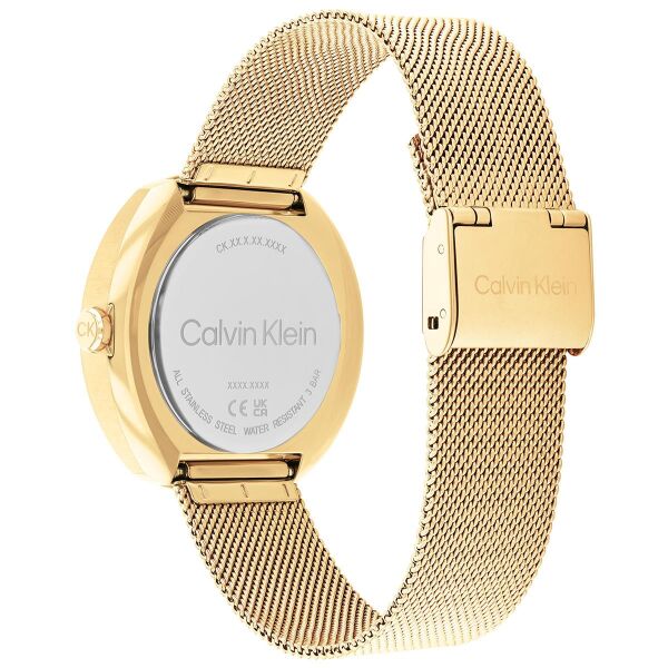 CALVIN KLEIN CK25200339