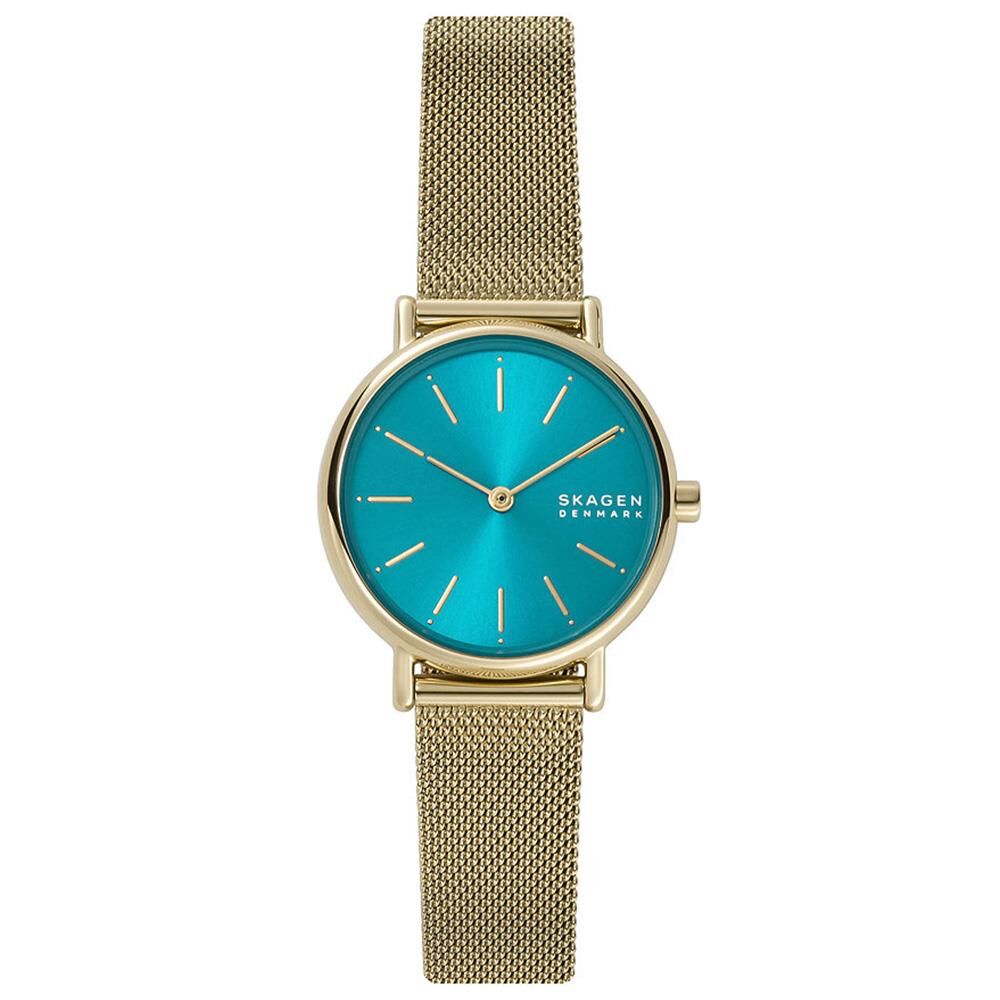 SKAGEN SKW2984