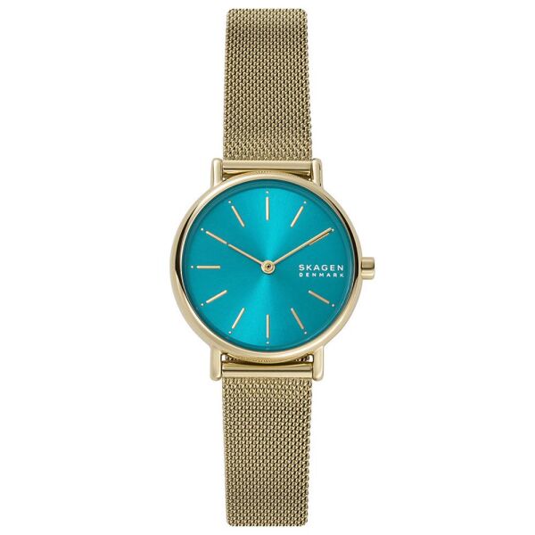 SKAGEN SKW2984