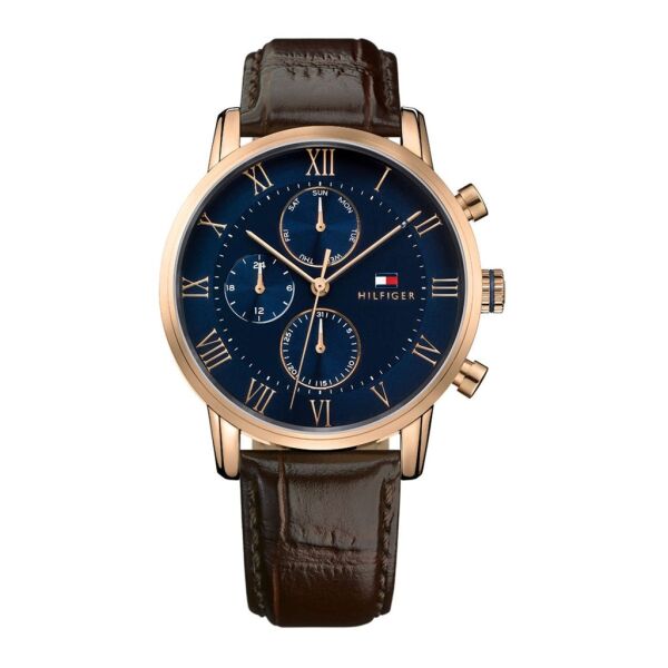 TOMMY HILFIGER TH1791399