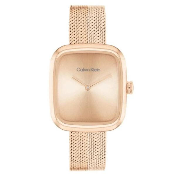 CALVIN KLEIN CK25100101