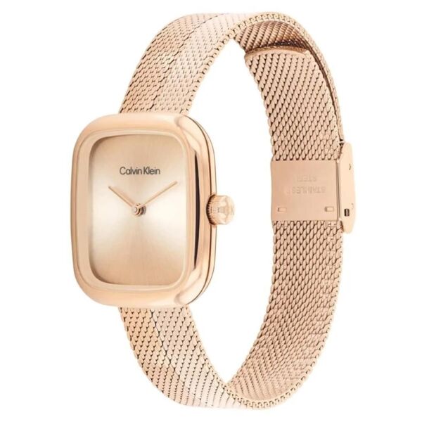 CALVIN KLEIN CK25100101