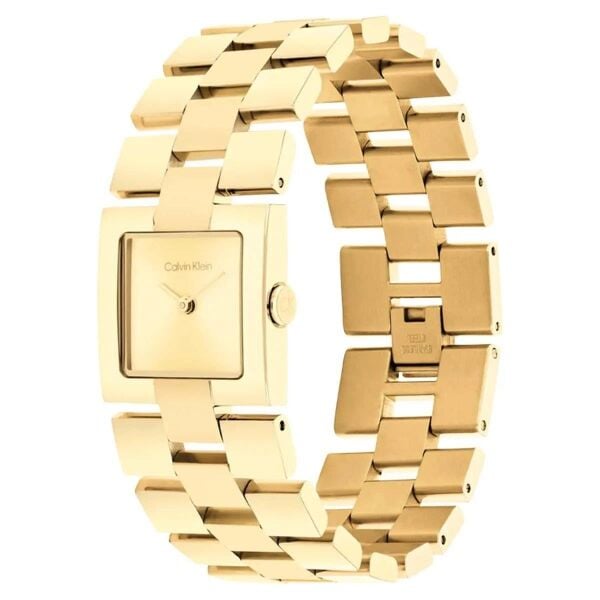 CALVIN KLEIN CK25100089