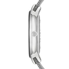 SKAGEN SKA358SSSBD