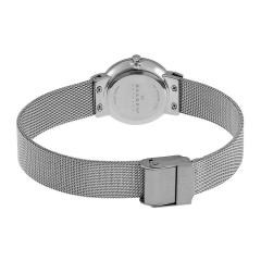 SKAGEN SKA358SSSBD