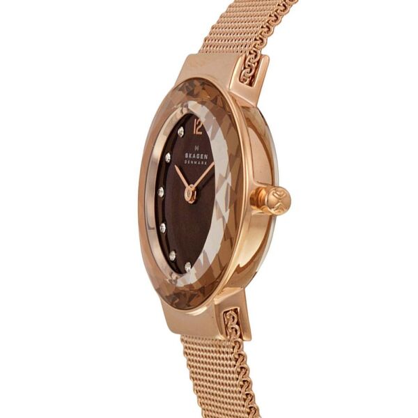 SKAGEN SKA456SRR1