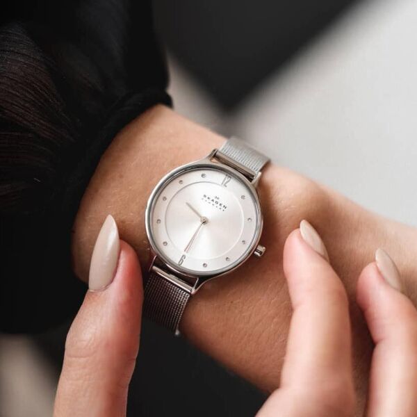 SKAGEN SKW2149