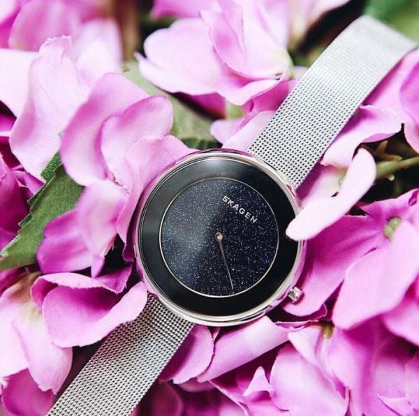 SKAGEN SKW2384