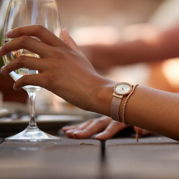 SKAGEN SKW2665