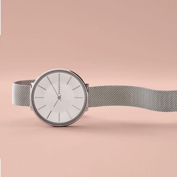 SKAGEN SKW2687