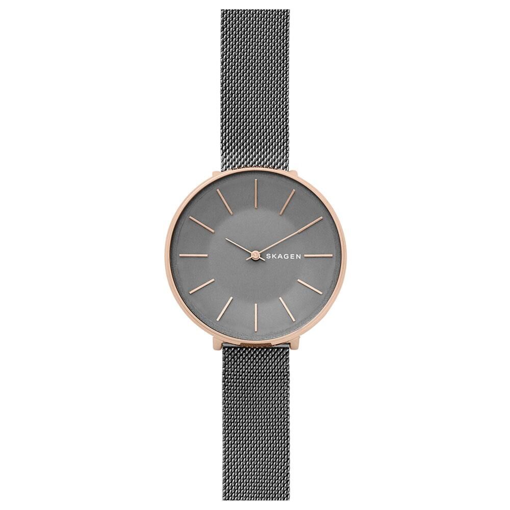 SKAGEN SKW2689