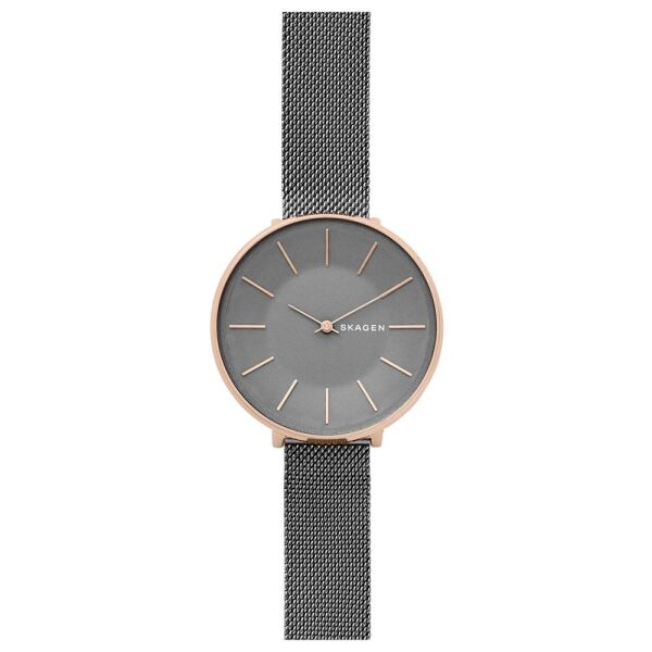 SKAGEN SKW2689