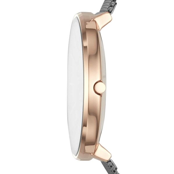SKAGEN SKW2689