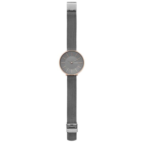 SKAGEN SKW2689