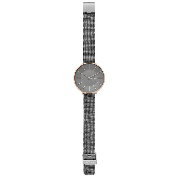 SKAGEN SKW2689