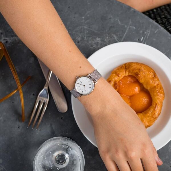 SKAGEN SKW2692