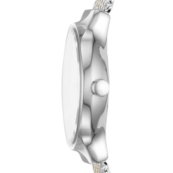 SKAGEN SKW2698