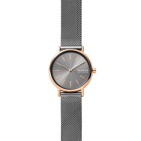 SKAGEN SKW2996