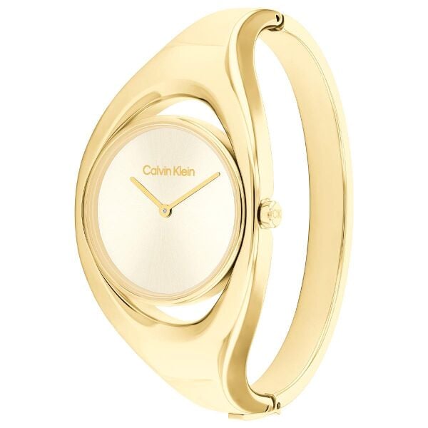 CALVIN KLEIN CK25200422