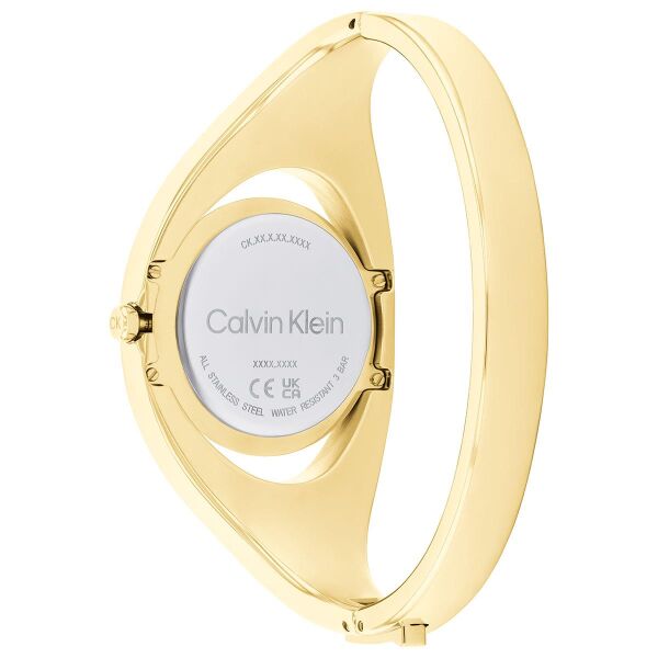 CALVIN KLEIN CK25200422
