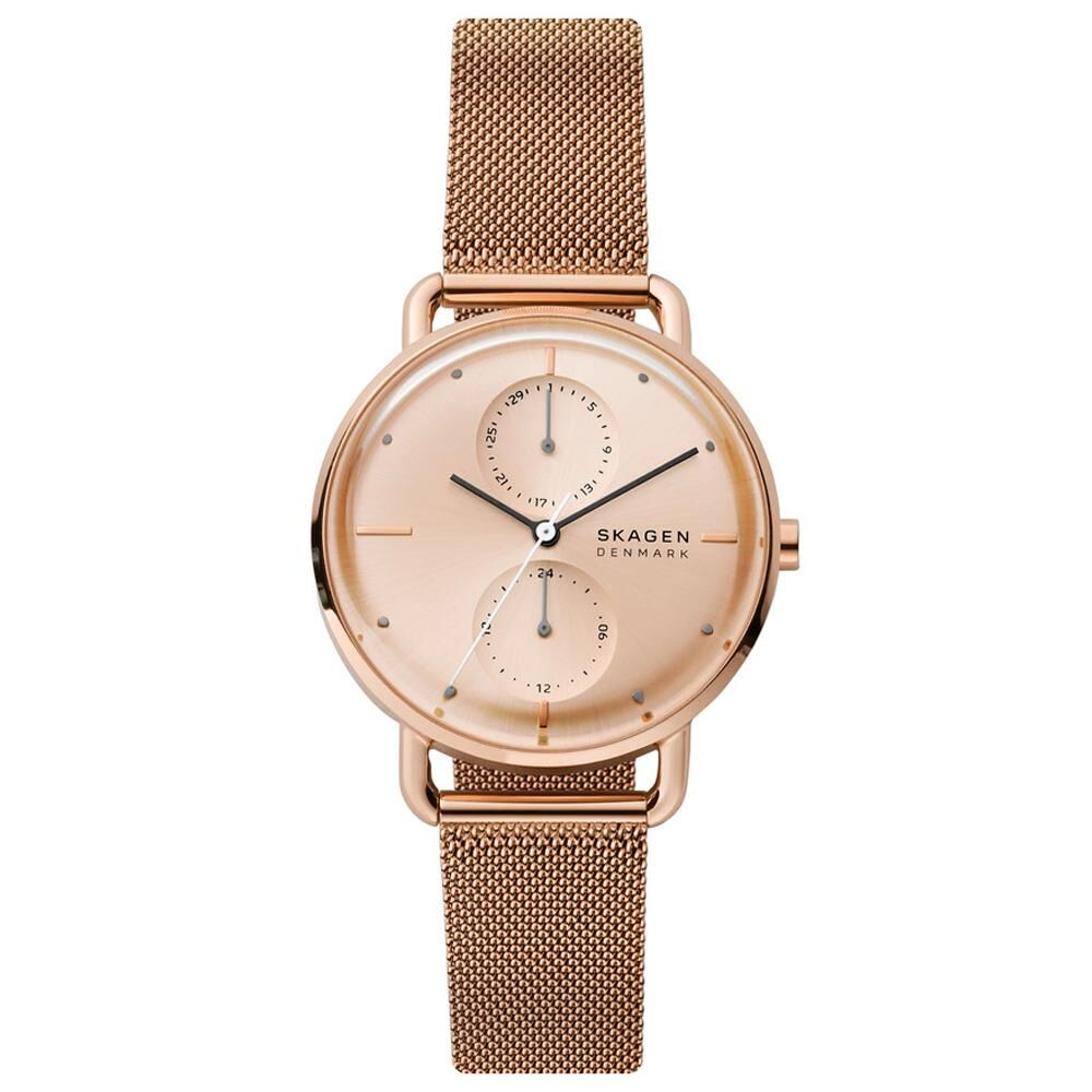 SKAGEN SKW2931