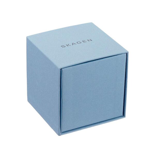 SKAGEN SKW2931
