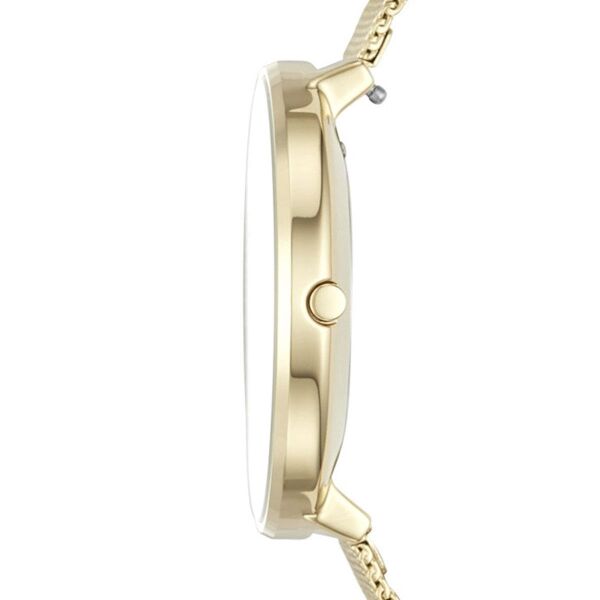 SKAGEN SKW1104