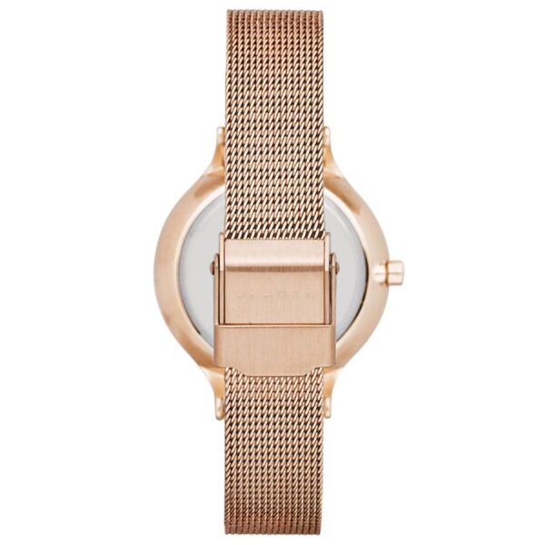SKAGEN SKW2151
