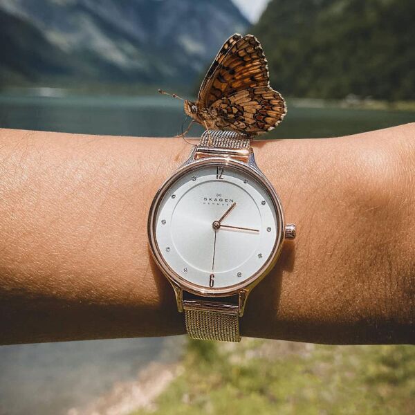 SKAGEN SKW2151