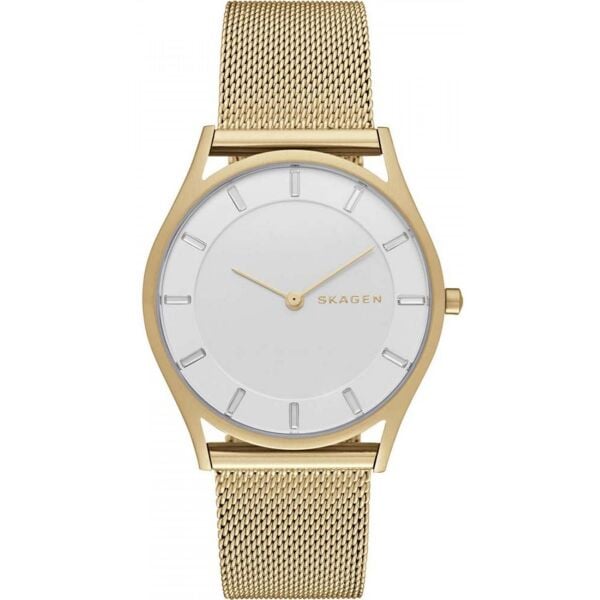 SKAGEN SKW2377