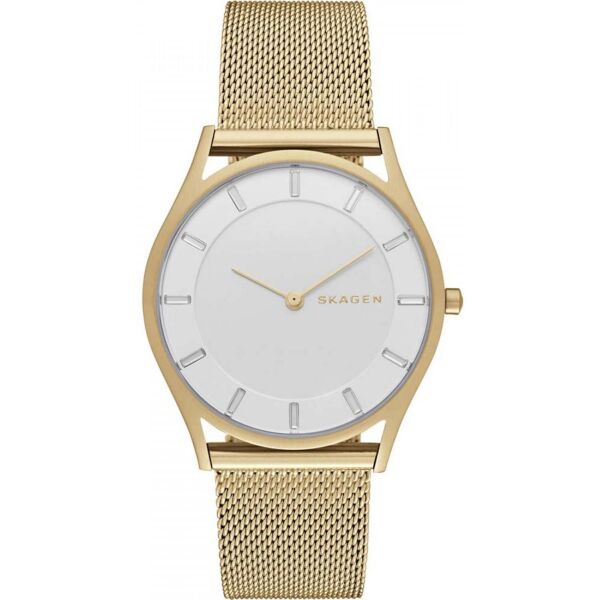 SKAGEN SKW2377