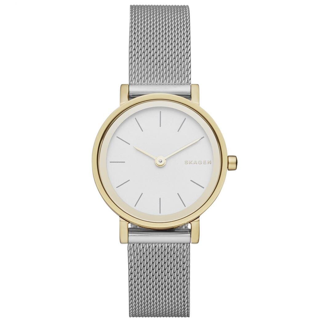 SKAGEN SKW2445