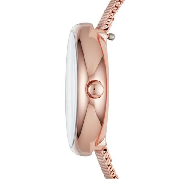 SKAGEN SKW2593