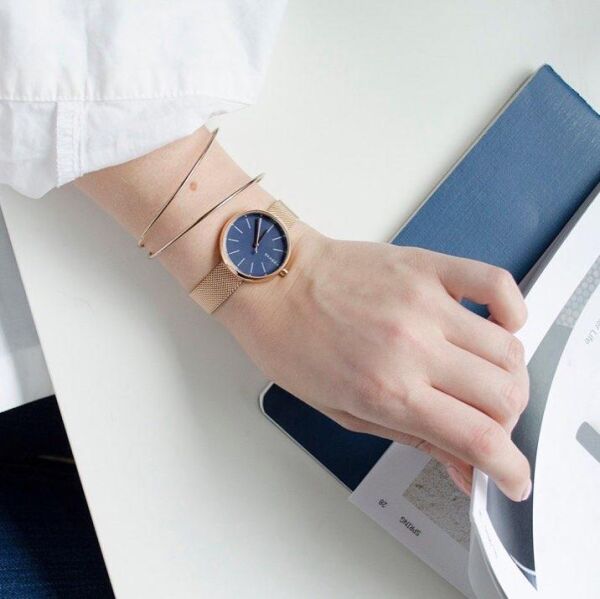 SKAGEN SKW2593