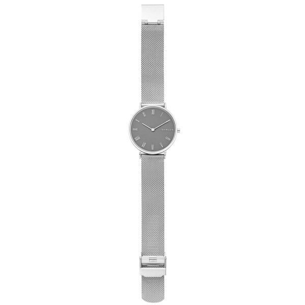 SKAGEN SKW2677