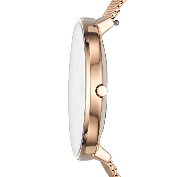 SKAGEN SKW2688