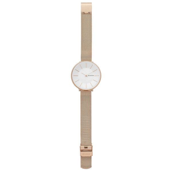 SKAGEN SKW2688