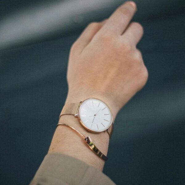 SKAGEN SKW2688