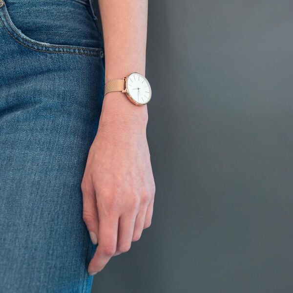 SKAGEN SKW2688