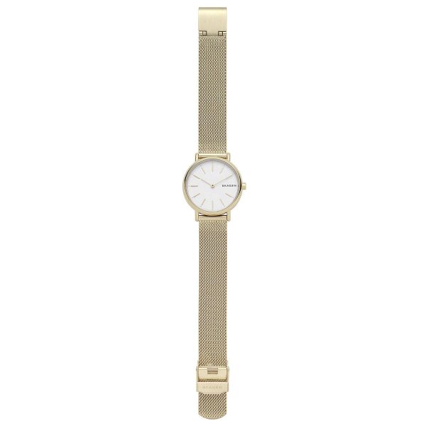 SKAGEN SKW2693