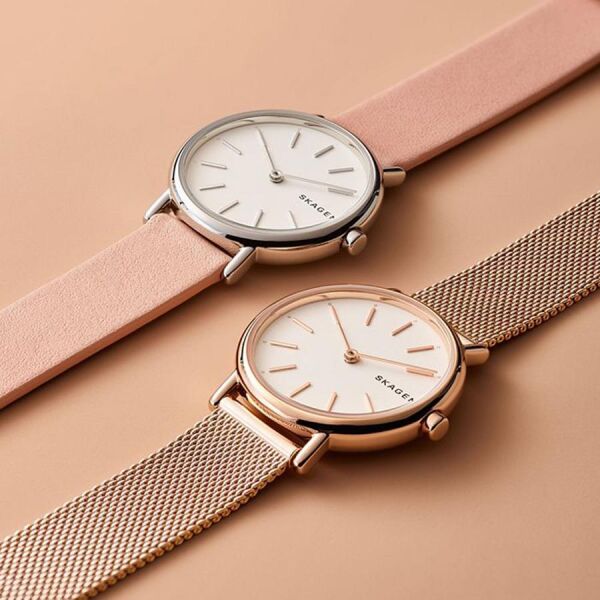 SKAGEN SKW2694