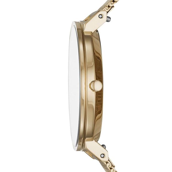 SKAGEN SKW2713