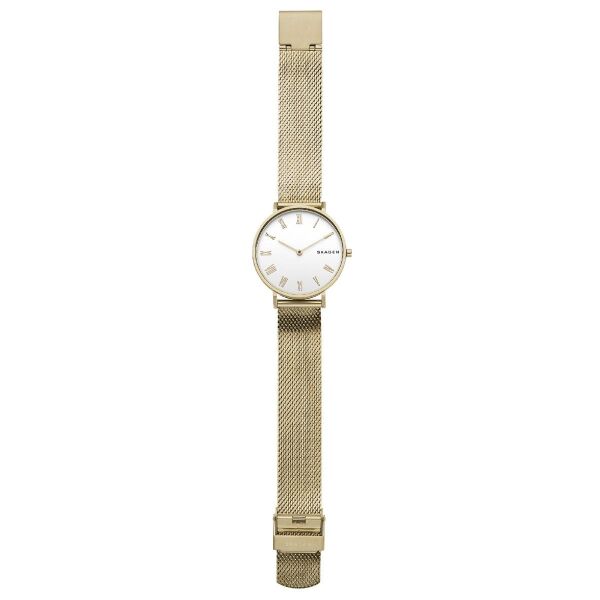 SKAGEN SKW2713