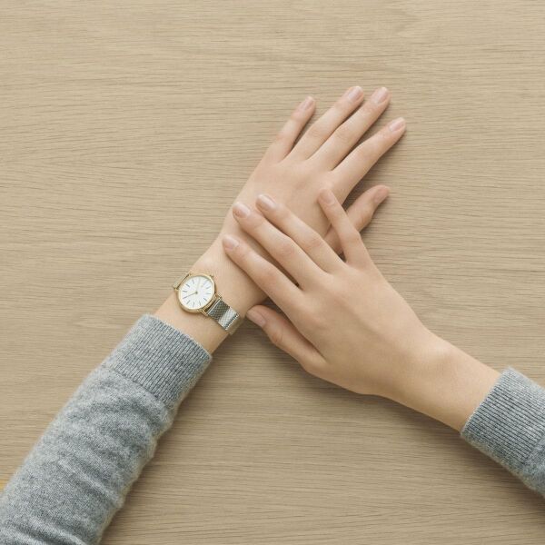 SKAGEN SKW2729