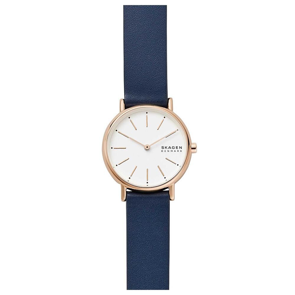 SKAGEN SKW2838