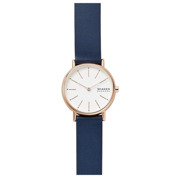 SKAGEN SKW2838