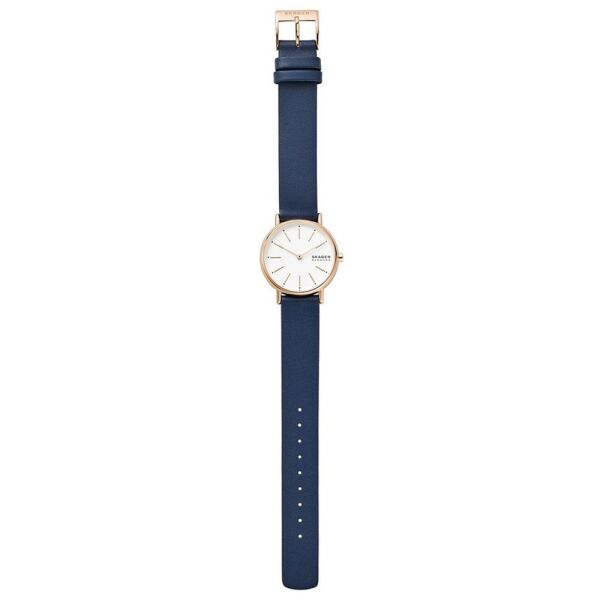 SKAGEN SKW2838