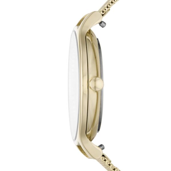 SKAGEN SKW2907