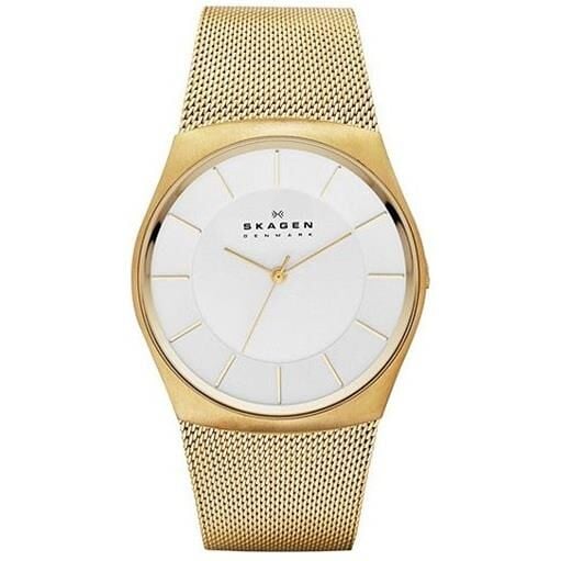 SKAGEN SKW6069