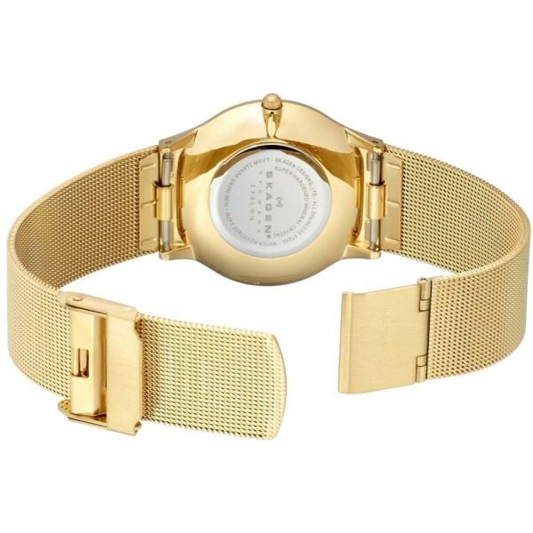 SKAGEN SKW6069